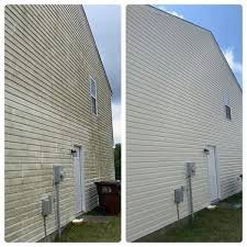 exterior cleaning