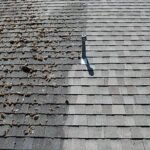 roof cleaning2